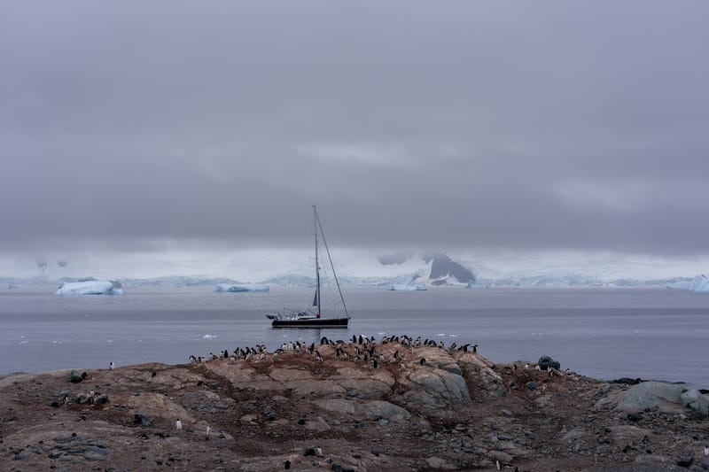 Antarctica: Mikkelsen Harbour & Cierva Cove